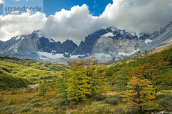 Berge um Valle Frances (Valle del Frances) im Herbst  Torres del Paine Nationalpark  Patagonien  Chile  Südamerika