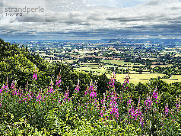 Blick auf Worcestershire vom Herefordshire Beacon  Herefordshire  England  Vereinigtes Königreich  Europa