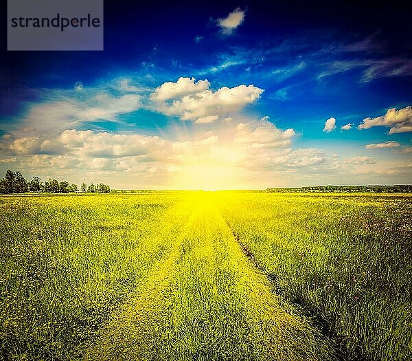 Vintage Retro-Effekt gefiltert Hipster-Stil Bild des Frühlings Sommer Hintergrund  ländliche Straße in grünem Gras Feld Wiese Landschaft Landschaft mit blauem Himmel