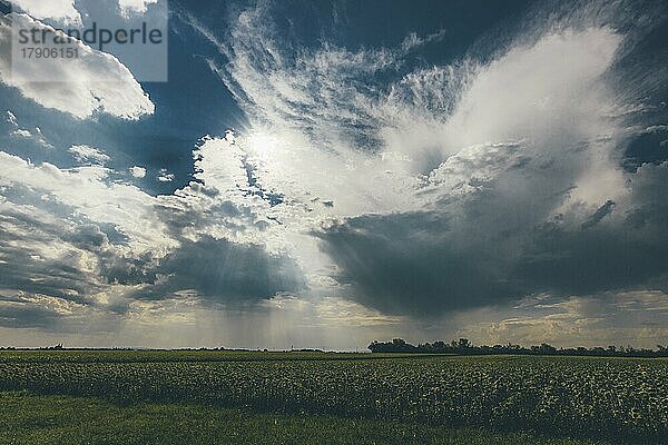 Wolken über Feld mit Sonnenstrahlen  Burgenland  Österreich  Europa