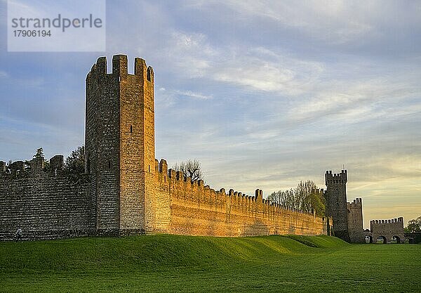 Stadtmauer im Abendlicht  Montagnana  Provinz Padua  Italien  Europa