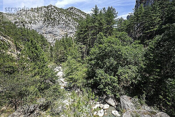 Schlucht von Trevans  Gorges de Trévans  Fluss L Estoublaisse  Nähe von Estoublon  Alpes-de-Haute-Provence  Provence  Frankreich  Europa