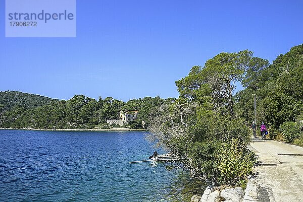 Schöner Radweg entlang des Sees  Insel Mljet  Gespanschaft Dubrovnik-Neretva  Kroatien  Europa