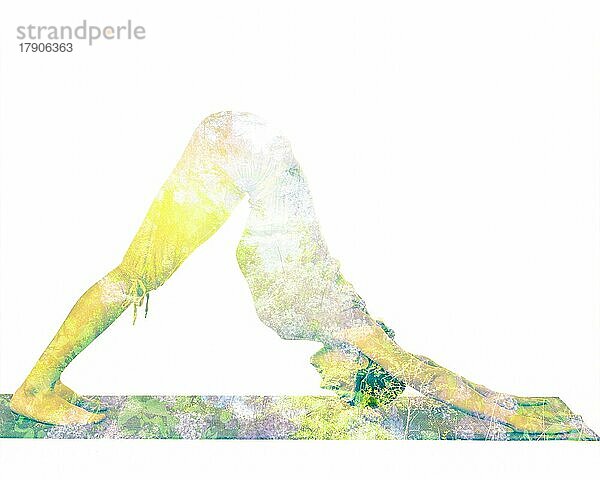 Natur Harmonie gesunden Lebensstil Konzept  Doppelbelichtung Bild der Frau tun Yoga Asana nach unten gerichteten Hund Pose adho mukha svanasana Übung vor weißem Hintergrund