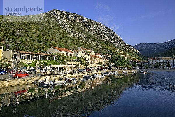 Hafen im Morgenlicht  Trstenik  Gespanschaft Dubrovnik-Neretva  Kroatien  Europa