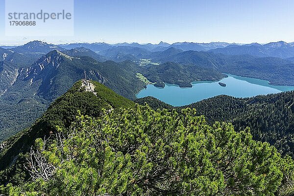 Ausblick vom Herzogstand auf seinen Vorgipfel  Jochberg  Benediktenwand  Jachenau  Rofangebirge und Walchensee  Walchensee  Bayerische Voralpen  Oberbayern  Deutschland  Europa