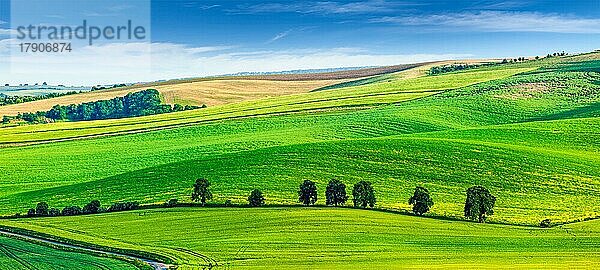 Panorama der mährischen Hügellandschaft mit Bäumen. Südmähren  Tschechische Republik  Europa