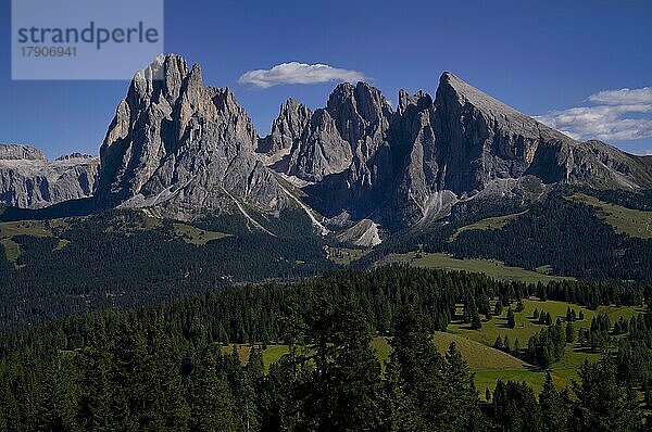 Gebirge Langkofel und Plattkofel  Seiser Alm  Alpe di Siusi  Südtirol  Italien  Europa