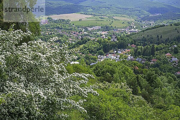 Blick zum Ort  Banská ?tiavnica  Banskobystrický kraj  Slowakei  Europa