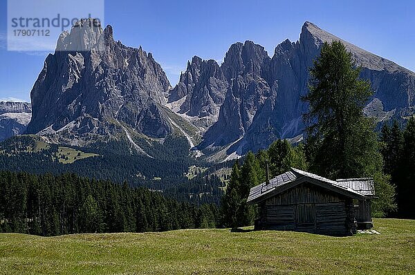Almhütte vor Gebirge des Langkofel und Plattkofel  Seiser Alm  Alpe di Siusi  Südtirol  Italien  Europa