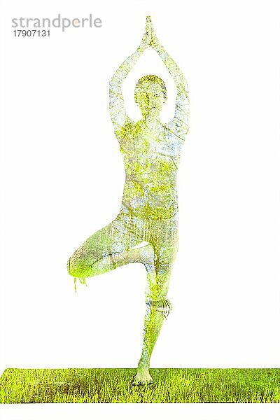 Natur Harmonie gesunden Lebensstil Konzept  Doppelbelichtung Bild der Frau tun Yoga Baum Pose asana Vrikshasana Übung vor weißem Hintergrund