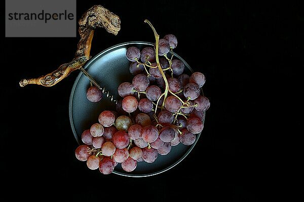 Rote Weintrauben (Vitis vinifera) mit Korkenzieher vor dunklem Hintergrund