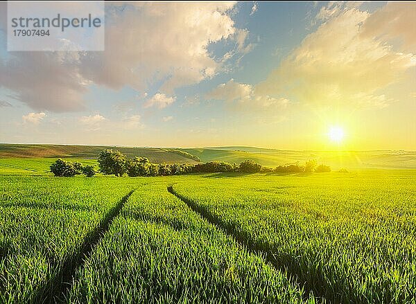 Schöner Sonnenuntergang in den Feldern von Mähren  Tschechische Republik  Europa