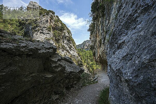 Wanderweg in der Schlucht von Trevans  Gorges de Trévans  Nähe von Estoublon  Alpes-de-Haute-Provence  Provence  Frankreich  Europa
