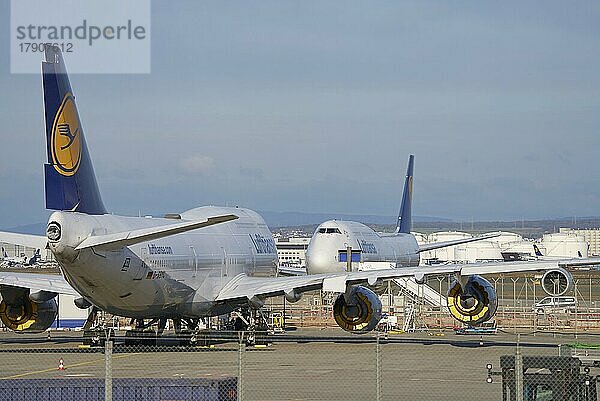 Flughafen während der Korona-Krise geparkte Lufthansa Boeing 747  Frankfurt am Main  Hessen  Deutschland  Europa