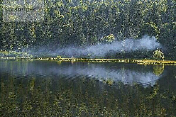 Blanchemer-See mit Lagerfeuerrauch im Sommer  Lac de Blanchemer  La Bresse  Vogesen  Frankreich  Europa