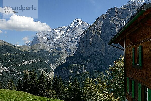 Eiger und Mönch  Blick von Mürren auf die Berge  Jungfrau-Region  Berner Oberland  Kanton Bern  Schweiz  Europa