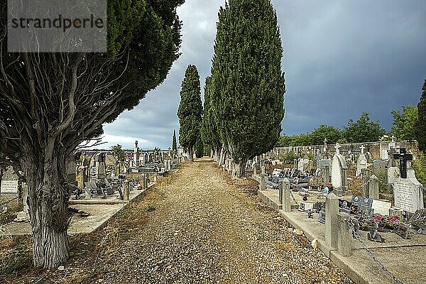 Gräber  Grabsteine  Friedhof in Puimoisson  Provence  Region Provence-Alpes-Côte d?Azur  Département Alpes-de-Haute-Provence  Frankreich  Europa