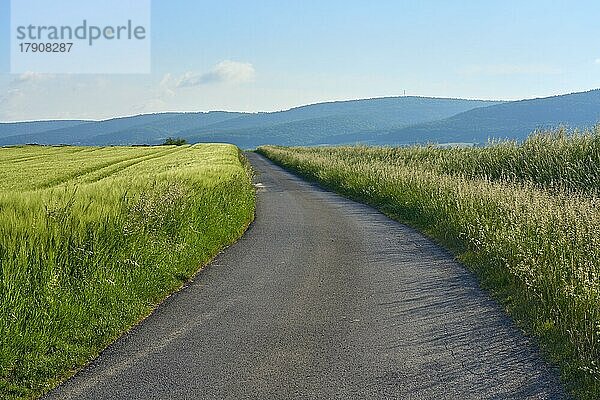 Feldweg mit Gerstenfeld im Frühjahr  Großheubach  Miltenberg  Spessart  Bayern  Deutschland  Europa