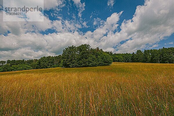 Feld und Wald  Wolken  Niederösterreich  Österreich  Europa