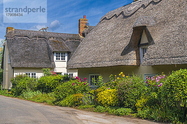 Traditionelles reetgedecktes Cottage  Wennington  Cambridgeshire  England  Vereinigtes Königreich  Europa