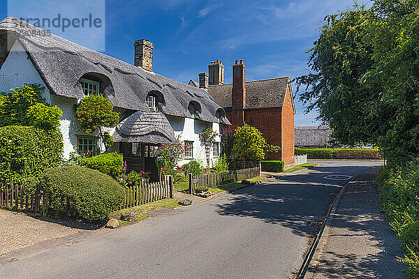 Traditionelles reetgedecktes Cottage  Bourn  Cambridgeshire  England  Vereinigtes Königreich  Europa