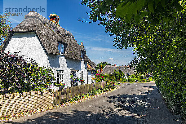 Traditionelles reetgedecktes Cottage  Bourn  Cambridgeshire  England  Vereinigtes Königreich  Europa