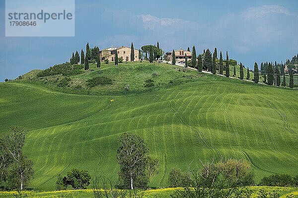 Typisches Landgut in hügeliger Landschaft  Crete Senesi  Provinz Siena  Toskana  Italien  Europa