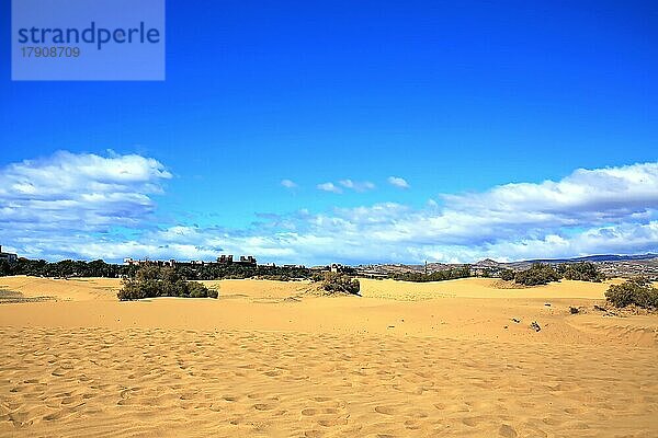 Der Strand von Maspalomas bei strahlendem Sonnenschein. Gran Canaria  Las Palmas  Kanarische Inseln  Spanien  Europa