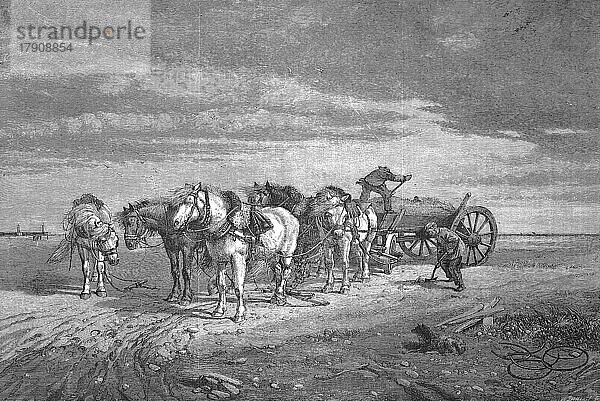 Sandsammler  Männer laden Sand auf einen Wagen  am Strand bei Les Greves  1869  Frankreich  Historisch  digital restaurierte Reproduktion einer Vorlage aus dem 19. Jahrhundert  Europa