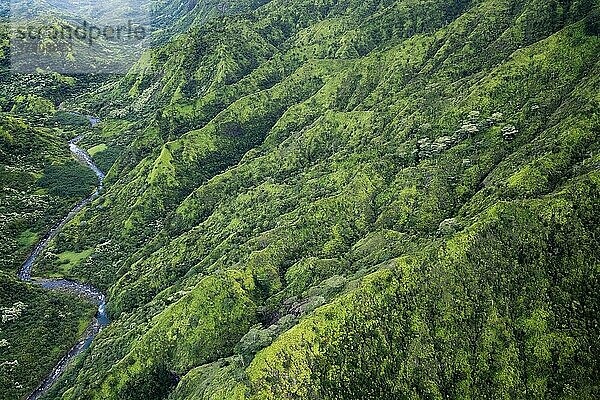Luftaufnahme Hanalei Valley  Kauai  Hawaii  USA  Nordamerika