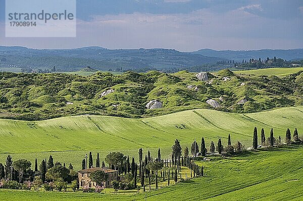 Typisches Landgut in hügeliger Landschaft  Crete Senesi  Provinz Siena  Toskana  Italien  Europa