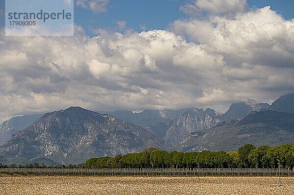 Landwirtschaftliche Nutzfläche vor wolkenbehangenem Gebirge  Venezien  Italien  Europa