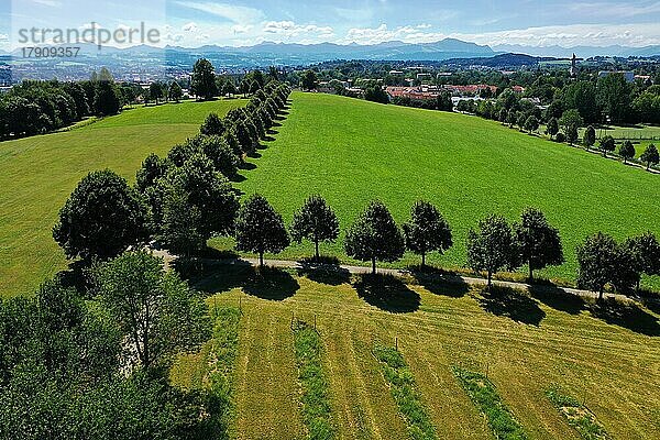 Luftbild vom Haldebuckel in Kempten mit Blick auf die Alpen. Kempten im Allgäu  Schwaben  Bayern  Deutschland  Europa