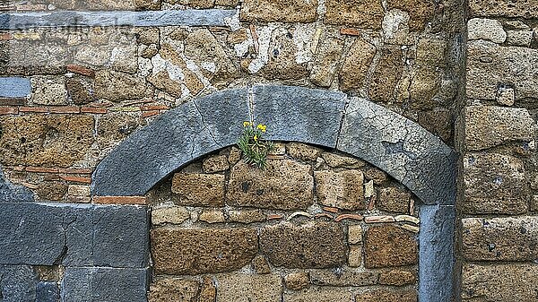 Detail einer alten Mauer aus Tuffstein  Hügeldorf Civita di Bagnoregio  Latium  Italien  Europa