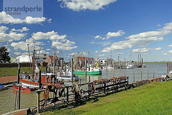 Fischkutter  Hafen  Ditzum  Ostfriesland  Niedersachsen  Deutschland  Europa