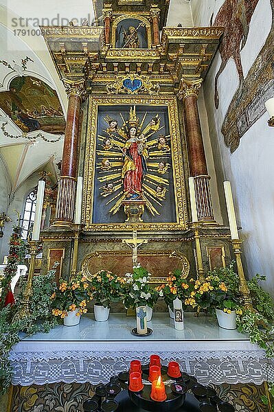 Seitenaltar mit Marienfigur  Kirche St. Anna in Betzigau  Allgäu  Bayern  Deutschland  Europa