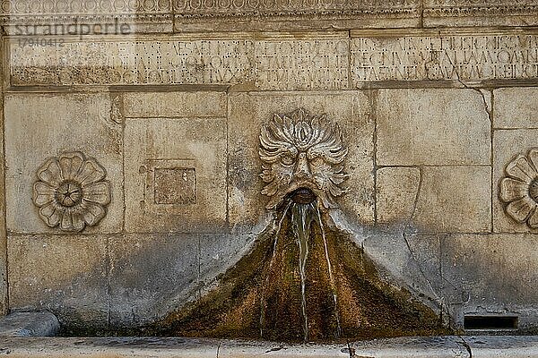 Löwenkopf an dem Brunnen Fontana Del Vecchio  Sulmona  Provinz L?Aquila  Region Abruzzen  Italien  Europa