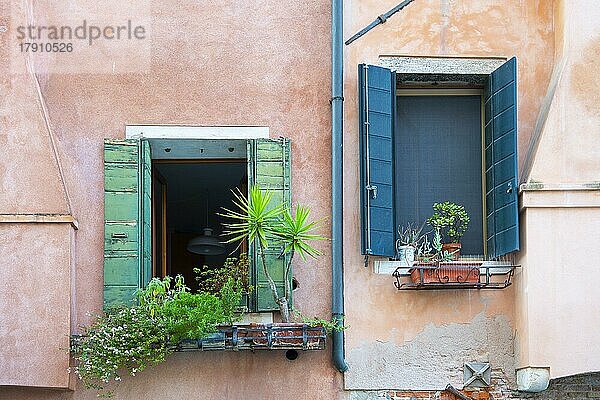 Liebevoll gestaltete Fenster an Wohnhäusern  Venedig  Veneto  Italien  Europa