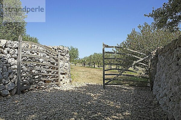 Traditionelles Holztor  Torralbenc  Menorca  Balearen  Spanien  Europa