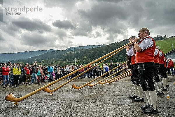 16. 09. 2022. Alphornbläser beim Almabtrieb  Viehscheid in Thalkirchdorf  Markt Oberstaufen  Allgäu  Bayern  Deutschland  Europa