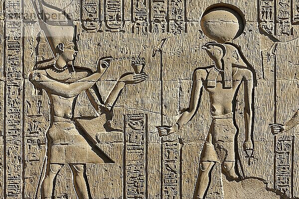 Doppeltempel von Kom Ombo  Reliefs und Gravierungen  Ägypten  Afrika