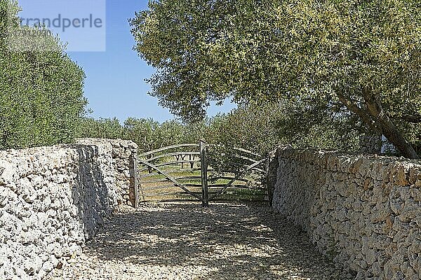 Traditionelles Holztor  Torralbenc  Menorca  Balearen  Spanien  Europa