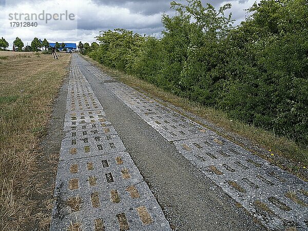 Kolonnenweg am Weg der Hoffnung an der Gedenkstätte Point Alpha zwischen Geisa in Thüringen und Rasdorf in Hessen  der ehemaligen innerdeutschen Grenze. Das Kunstprojekt der Point Alpha Stiftung knüpft an den christlichen Kreuzweg an und erinnert mit seinen 14 Stationen an die Leiden der Menschen in den kommunistischen Diktaturen Mittel- und Osteuropas  Geisa  Thüringen  Deutschland  Europa