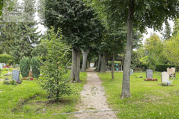 Allee und Gräber  Friedhof Pesterwitz  Freital  Sachsen  Deutschland  Europa