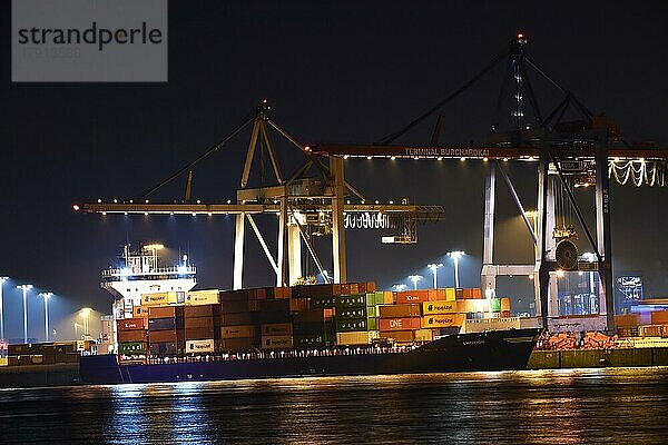 Krane im Containerhafen Hamburg bei Nacht  Deutschland  Europa