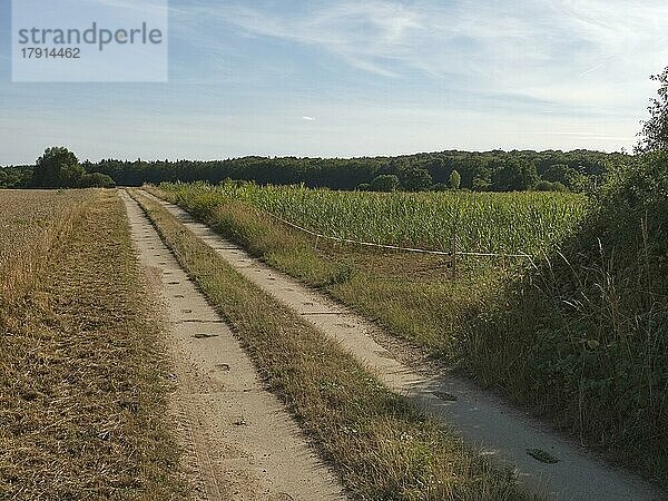 Der Kolonnenweg entlang der ehemaigen innerdeutschen Grenze markiert das grüne Band zwischen Mecklenburg-Vorpommern und Schleswig-Holstein im UNESCO Biosphhärenreservat Schaalsee  Bach Boize  Landesgrenze  Boize bei Zarrentin  Mecklenburg-Vorpommern  Deutschland  Europa