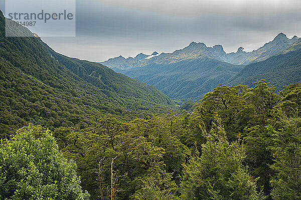 Wald und Berge des Fiordland-Nationalparks  UNESCO-Welterbe  Südinsel  Neuseeland  Pazifik