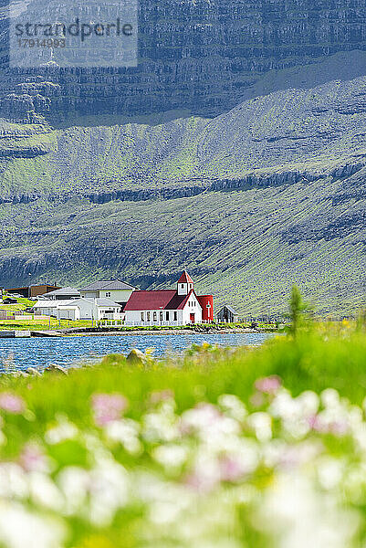 Blick auf die Kirche mit Gräsern und Blumen im Vordergrund  Hvannasund  Insel Vidoy  Färöer Inseln  Dänemark  Europa