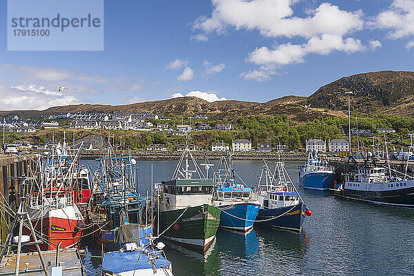 Fischer- und Freizeitboote im Hafen von Mallaig  Highlands  Schottland  Vereinigtes Königreich  Europa